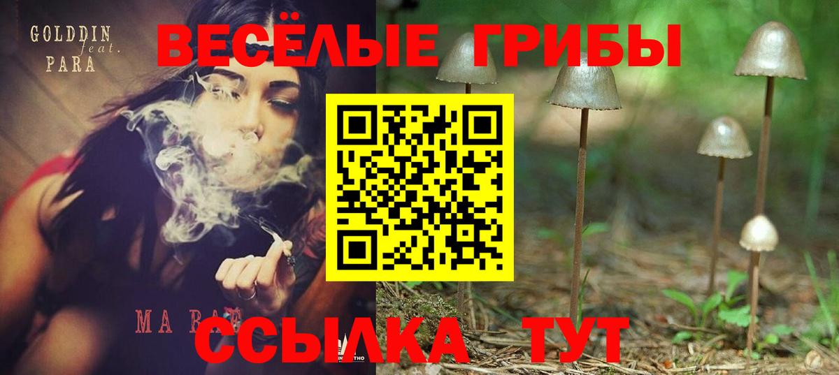 Галлюциногенные грибы MAGIC MUSHROOMS  Вход с VPN  Камышлов 